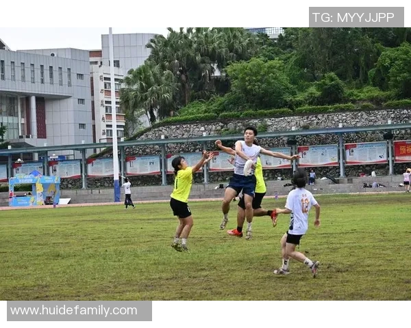 飞盘飞扬：见证广州飞盘队从萌芽到辉煌的成长历程